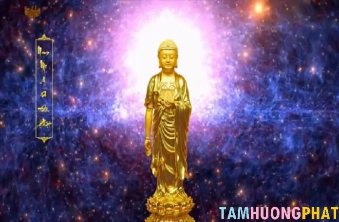 Niệm Phật tam muội là gì? Cảnh giới của niệm Phật tam muội